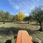 Podere Conte Ràcani *