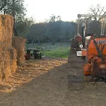 Agroturismo Podere Conte Racani *