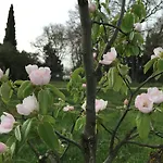 Agroturismo Podere Conte Racani Amelia