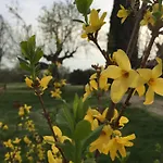 Podere Conte Racani