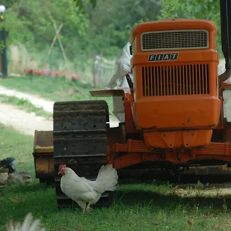 Podere Conte Racani Farm stay
