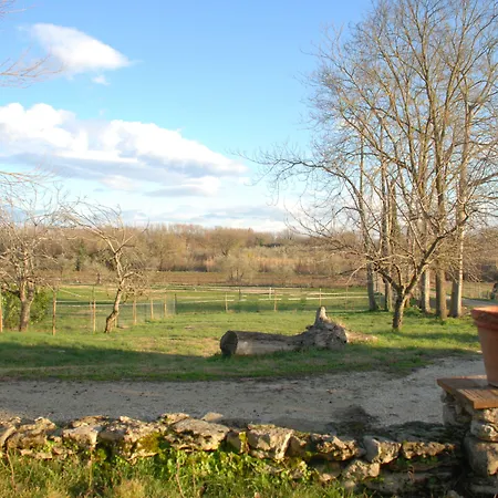 Podere Conte Racani