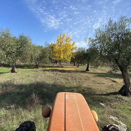 Podere Conte Racani *