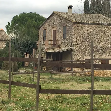 Podere Conte Racani *