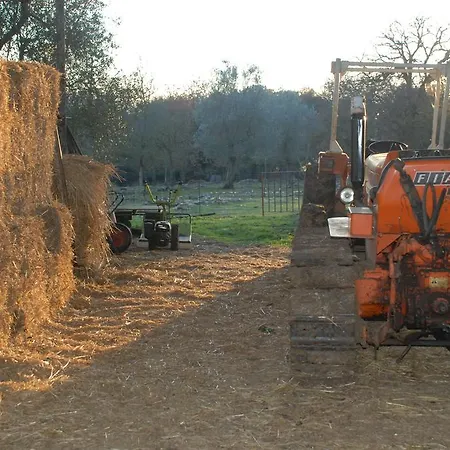 Farm stay Podere Conte Racani *