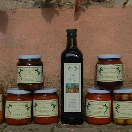 Podere Conte Racani *