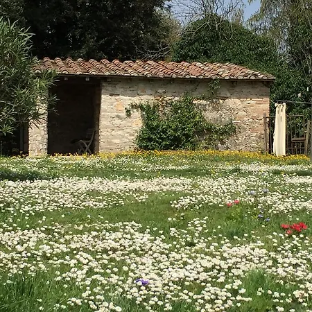 Farm stay Podere Conte Racani *