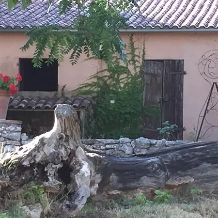 Farm stay Podere Conte Racani Amelia