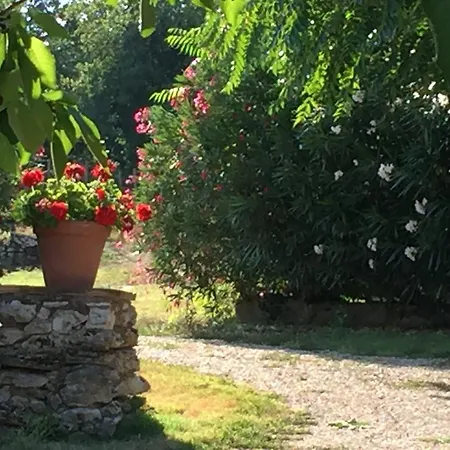 Farm stay Podere Conte Racani