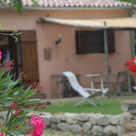 Farm stay Podere Conte Racani