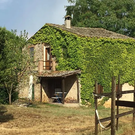 Farm stay Podere Conte Racani