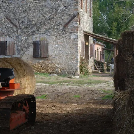 Farm stay Podere Conte Racani *