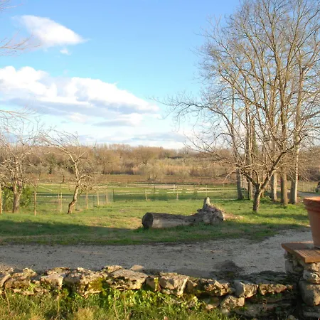 Farm stay Podere Conte Racani