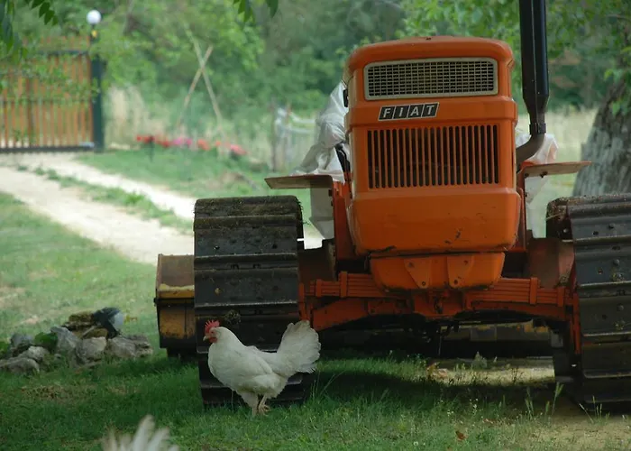 Podere Conte Racani Feriegård