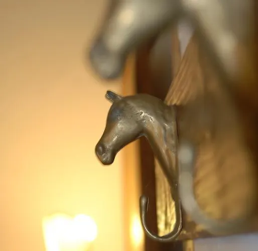 Podere Conte Racani Feriegård