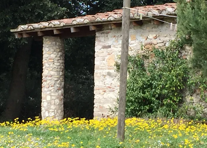 Podere Conte Racani *