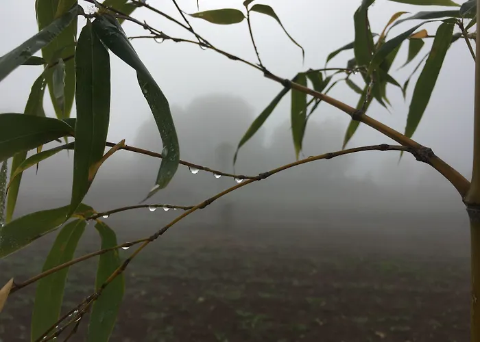 Feriegård Podere Conte Racani *