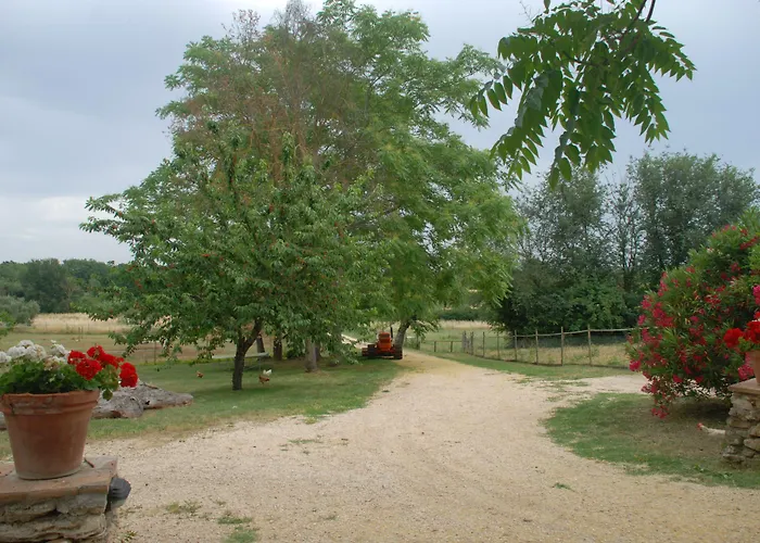 Podere Conte Racani *