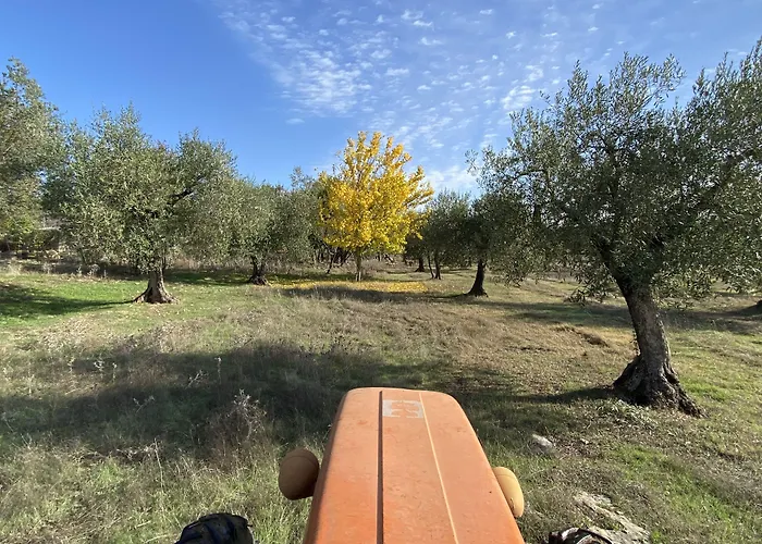 Podere Conte Racani *