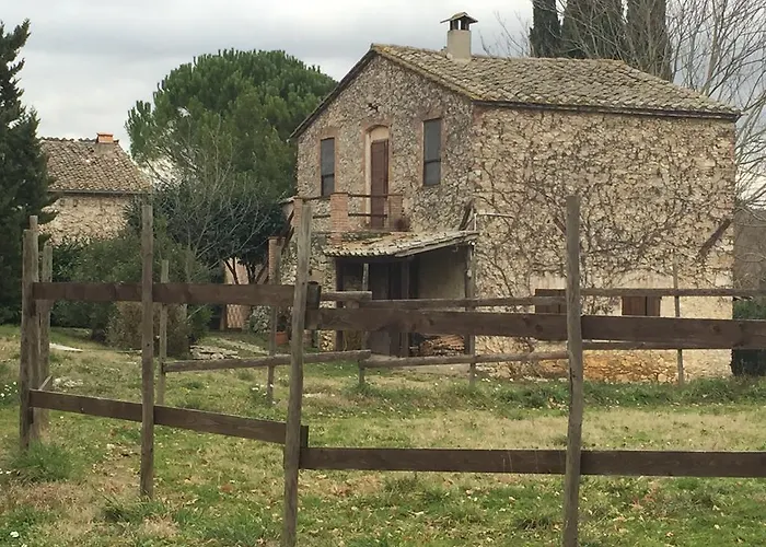 Podere Conte Racani *