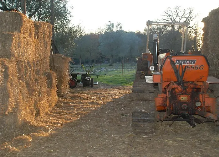 Feriegård Podere Conte Racani *