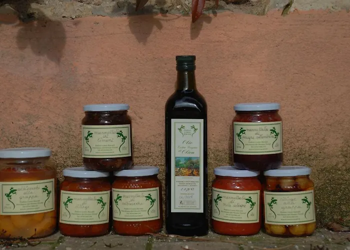 Podere Conte Racani *