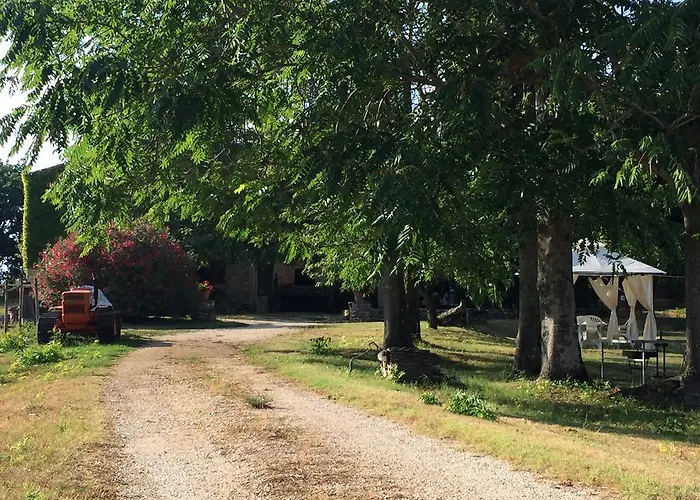 Feriegård Podere Conte Racani *