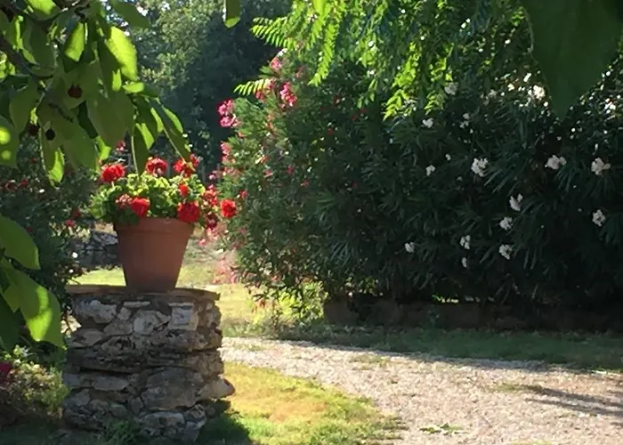 Feriegård Podere Conte Racani